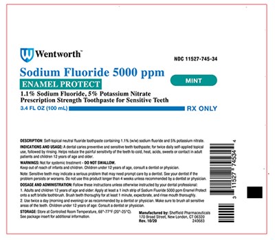 Wentworth Enamel Protect Tube.jpg (Wentworth Enamel Protect Tube)
